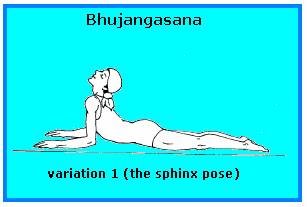 Bhujangasana Variation -1