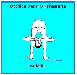 Utthita janu sirshasana (variation