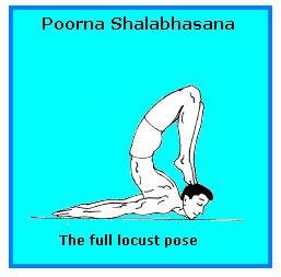 SANSKRUTI YOGA & MEDITATION: Purna Shalabhasana (Full Locust Pose)