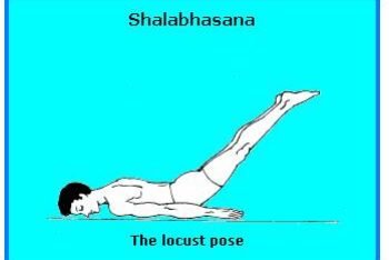 Compare and contrast between Gomukhasana and Shalabhasana-Draw diagrams of  both theasanas.​ - Brainly.in